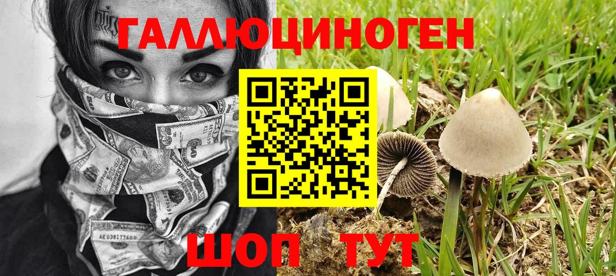 Галлюциногенные грибы ЛСД Строитель